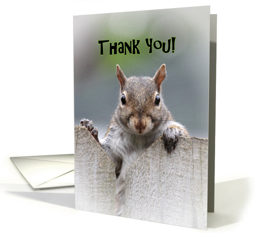 Squirrel Says Thank You card (1154198)