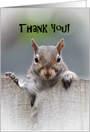 Squirrel Says Thank You Card