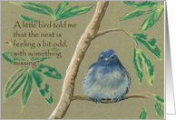 A Little Bird Told Me Empty Nest for Siblings card