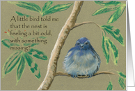 A Little Bird Told...