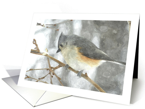 bird, season's greetings,Tufted Titmouse card (1078788)