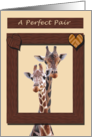 A Perfect Pair Valentine Two Giraffes in Wood Frame card