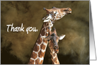 Thank you Pair of Giraffes Leaning on Each Other card