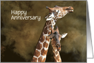 Happy Anniversary Pair of Giraffes Custom Front card