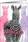 Thank You Zebra Trio Print Stripes card