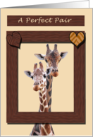 A Perfect Pair Valentine Two Giraffes in Wood Frame card