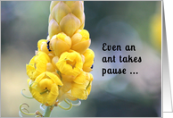 Take Pause in Life card