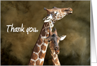 Thank you Pair of Giraffes Leaning on Each Other card