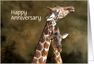 Happy Anniversary Pair of Giraffes Custom Front card