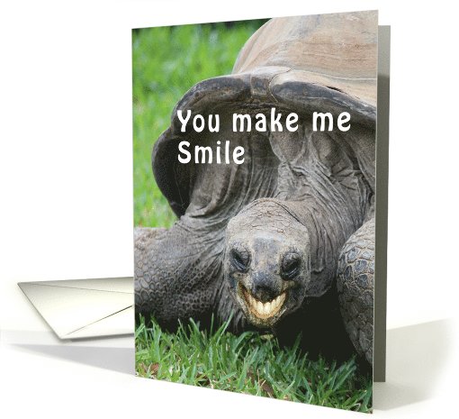 You Make Me Smile Funny Tortoise Thinking of You card (1077748)