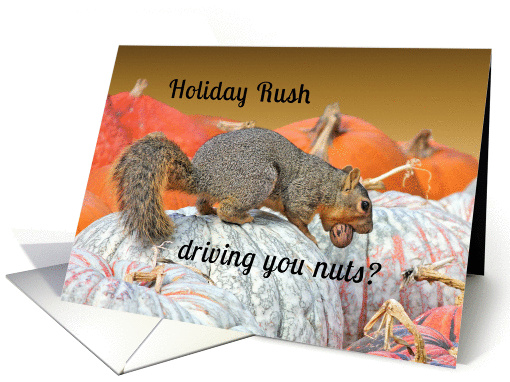 Holiday Rush Squirrel Encouragement card (1151368)