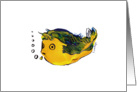 Gluff Fish card
