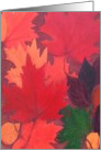 Autumn Leaves Painting card