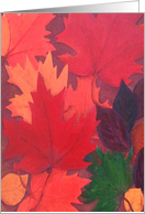 Autumn Leaves Painting card