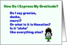 How Do I Express My Gratitude? - A Thank You Poem that asks questions card
