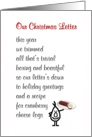 Our Christmas Letter - a funny Christmas poem about those letters card