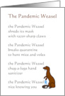 The Pandemic Weasel A Funny Thinking Of You During The Pandemic Poem card