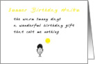 Summer Birthday Haiku A Funny Happy Summer Birthday Poem card