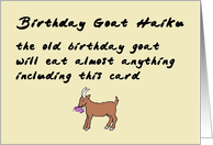 Birthday Goat Haiku - a funny happy birthday poem card