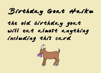 Birthday Goat Haiku ...