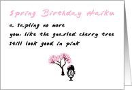 Spring Birthday Haiku A Funny Happy Spring Birthday Poem card