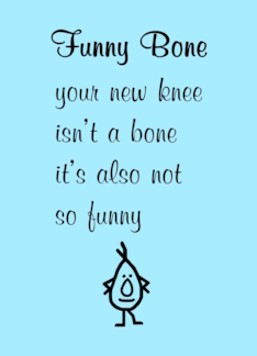 Funny Bone A Funny...