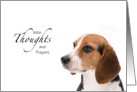 Sympathy - Dog Thoughts and Prayers card