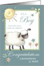 It’s a Boy Congratulations Grandson & Wife - Little Lamb card