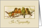 In Sympathy Vintage birds card