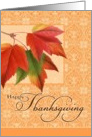 Business Thanksgiving - Fall Leaves card