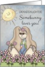 Granddaughter, Somebunny Loves You! Easter Bunny in flower field card