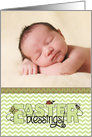 Easter Blessings, green chevron & ribbon - custom photo card