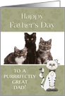 From Cat on Father’s Day custom photo card