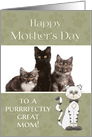 From Cat on Mother’s Day custom photo card