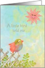 Happy Birthday - A little bird told me card
