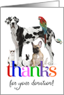Thanks for your donation, colorful custom photo card