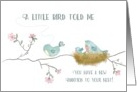 New Baby A Little Bird Told Me You Have a New Addition to your Nest card