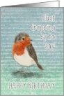 Happy Birthday Little Bird Dropping By card