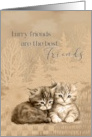 Congratulations New Cat or Kitten Furry Friends are Best Friends card