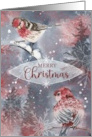 Merry Christmas Winter Collage with Birds and Snowflakes card