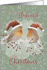 To Husband at Christmas Birds with Santa Hats on Snowy Limb card