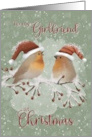 To Girlfriend at Christmas Birds with Santa Hats on Snowy Limb card