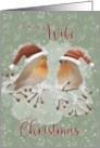To Wife at Christmas Birds with Santa Hats on Snowy Limb card