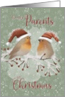 To Parents at Christmas Birds with Santa Hats on Snowy Limb card