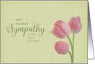 Loss of Sister With Sympathy Pink Tulips card