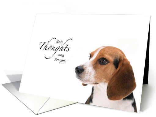 Sympathy - Dog Thoughts and Prayers card (1050957)