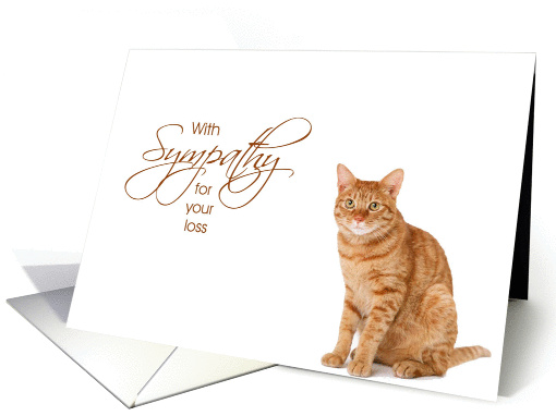 With Sympathy - Loss of Pet Cat card (1050959)