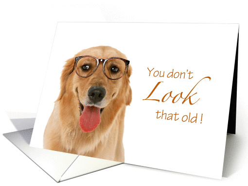 Dog Birthday - You don't LOOK that old! card (1050965)