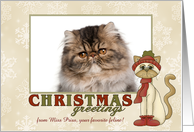 Christmas Greetings from Kitty w/ knit cap & scarf custom photo card