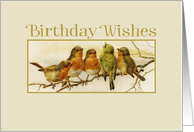 Birthday Wishes - Vintage birds card